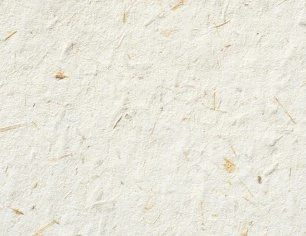 product-306-236 product-306-236